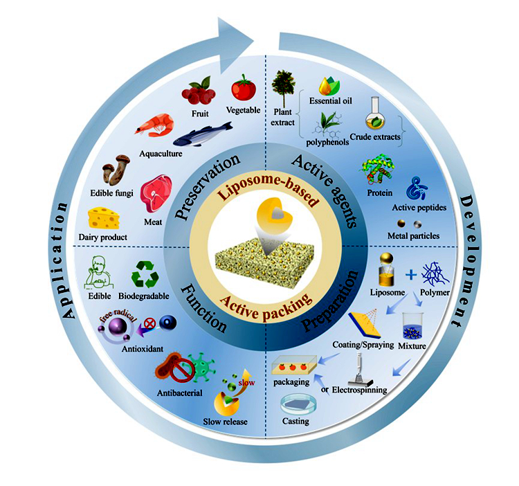 图片1_副本_26541图片1_副本